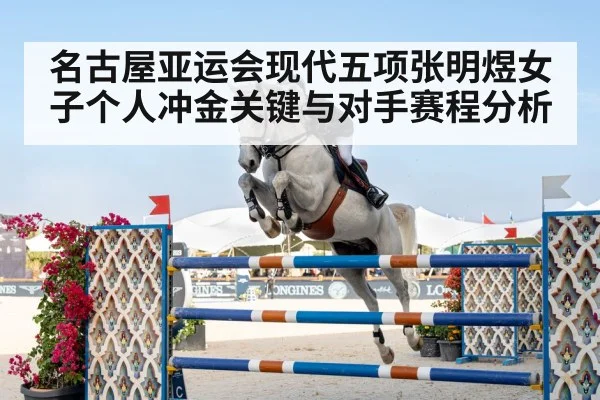 equestrian show jumping horse rider